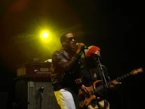 Q-Tip Q-Tip