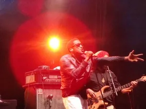 Q-Tip Q-Tip